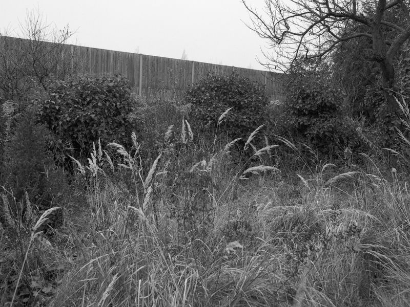 © Thomas Bundschuh - Image from the Silence Beyond The Wall photography project