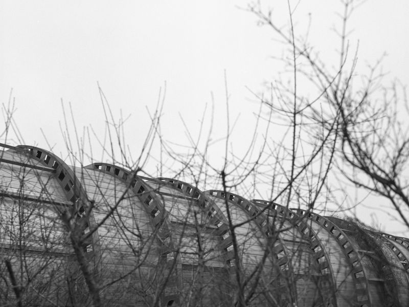 © Thomas Bundschuh - Image from the Silence Beyond The Wall photography project