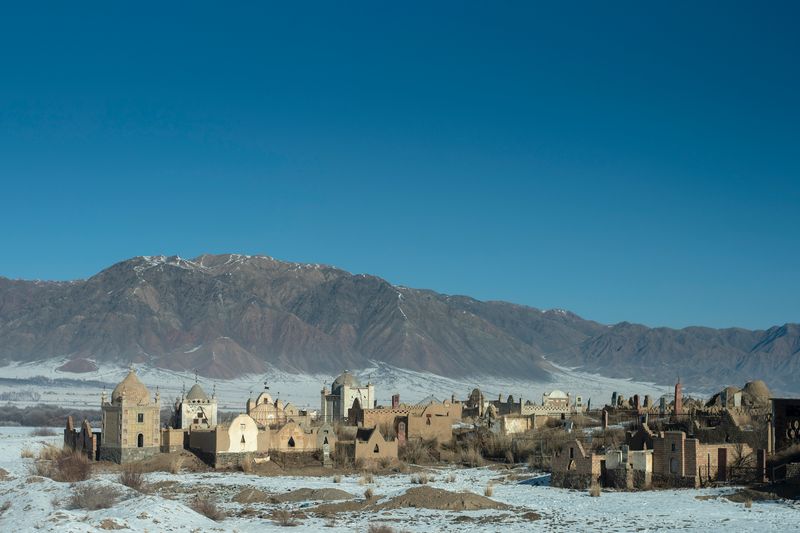 © Irina Unruh - Image from the Red Blossoms photography project