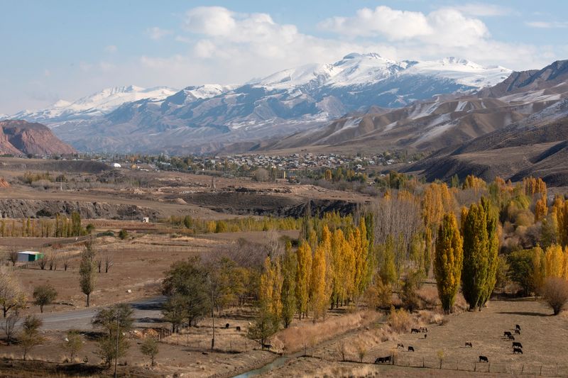 © Irina Unruh - Image from the Red Blossoms photography project