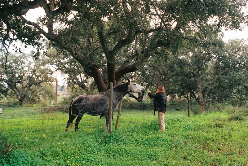 © Adina Salome Harnischfeger - Image from the The taste of sun on skin photography project