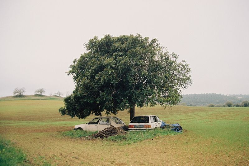 © Adina Salome Harnischfeger - Image from the The taste of sun on skin photography project