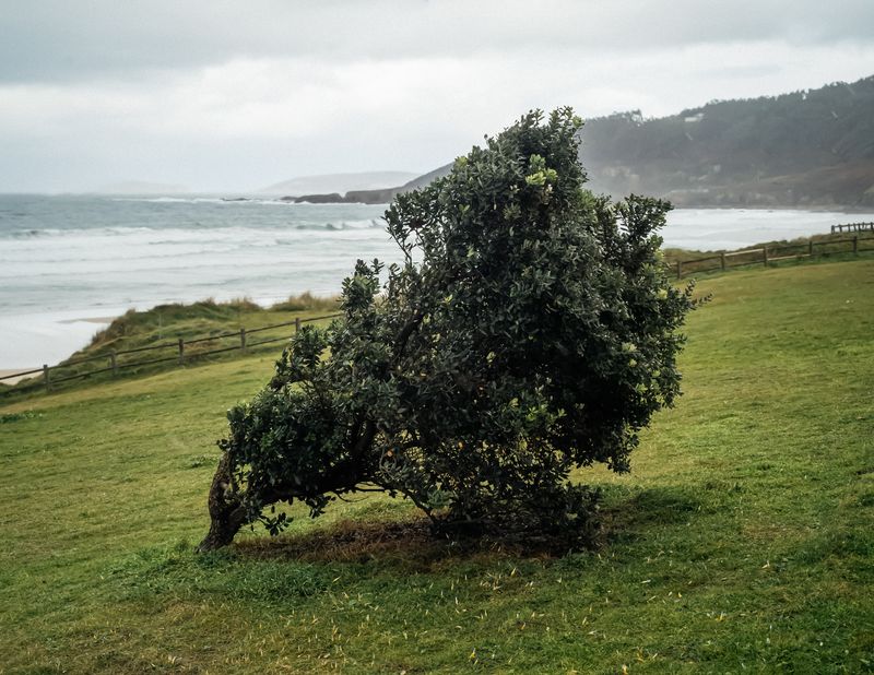© Yohan Nieto - Image from the DOWN THE GARDEN PATH photography project