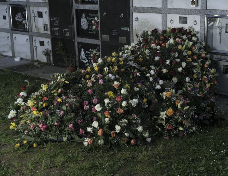 © Yohan Nieto - Image from the DOWN THE GARDEN PATH photography project