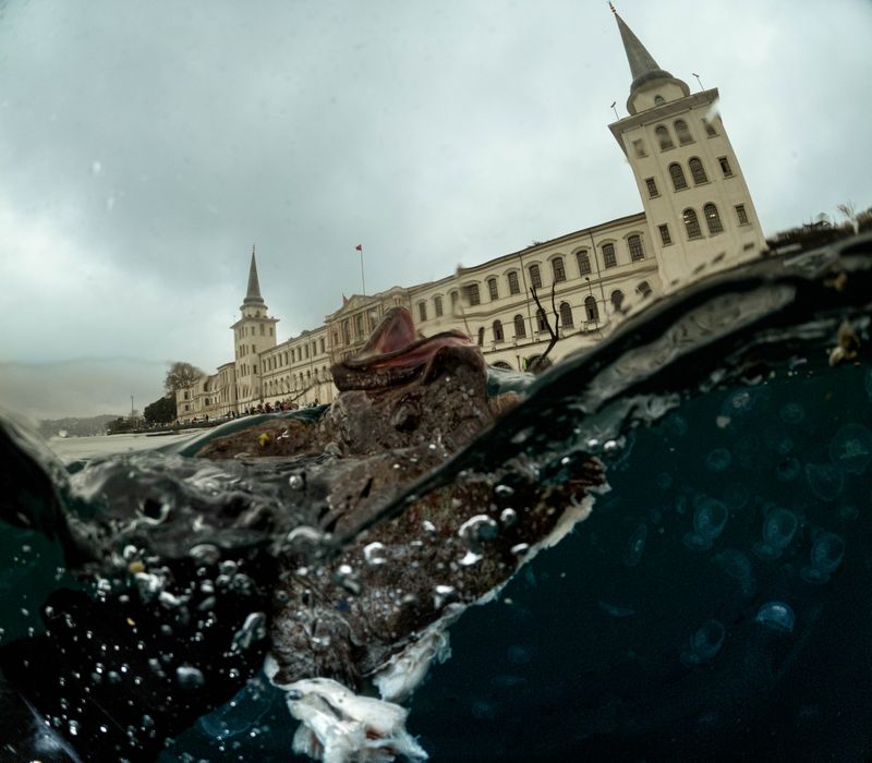 © Berk İşeri - Image from the Monsters of Bosphorus: a Journey of Silent Currents photography project