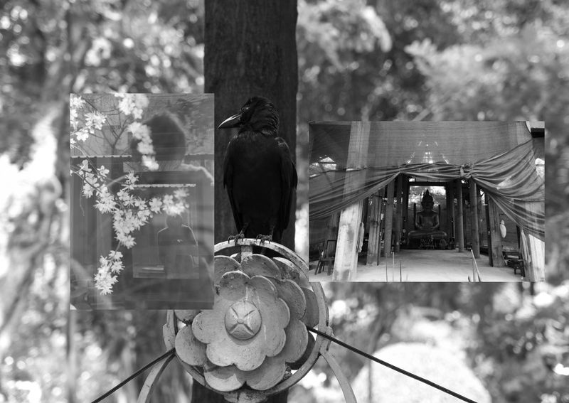 © Berk İşeri - Image from the Photobook No.1 photography project