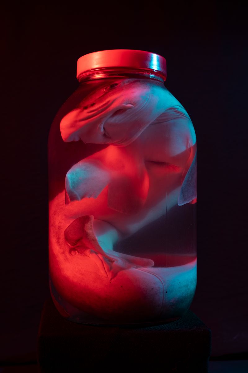 © Berk İşeri - Image from the Monsters of Bosphorus: a journey of silent current photography project