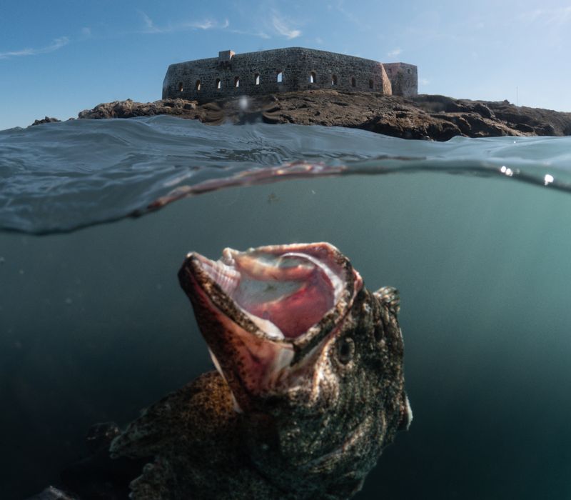 © Berk İşeri - Image from the Monsters of Bosphorus: a journey of silent current photography project