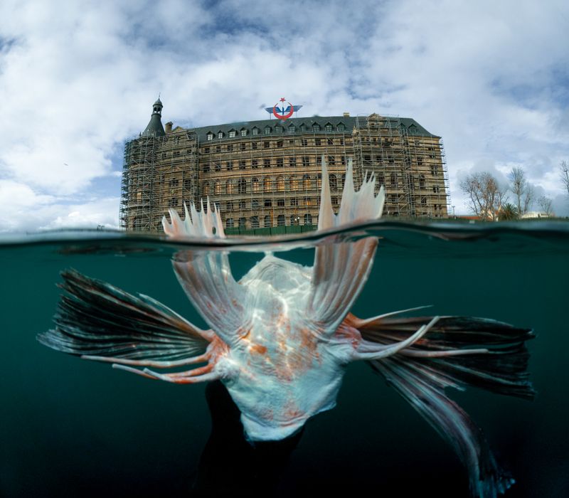 © Berk İşeri - Image from the Monsters of Bosphorus: a journey of silent current photography project