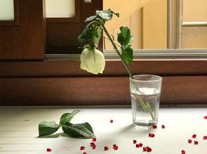 Grenze-Arsenali Fotografici Festival 2025