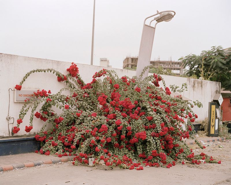 © Sebastian Forkarth - Image from the Not east, not west .. India is the best photography project