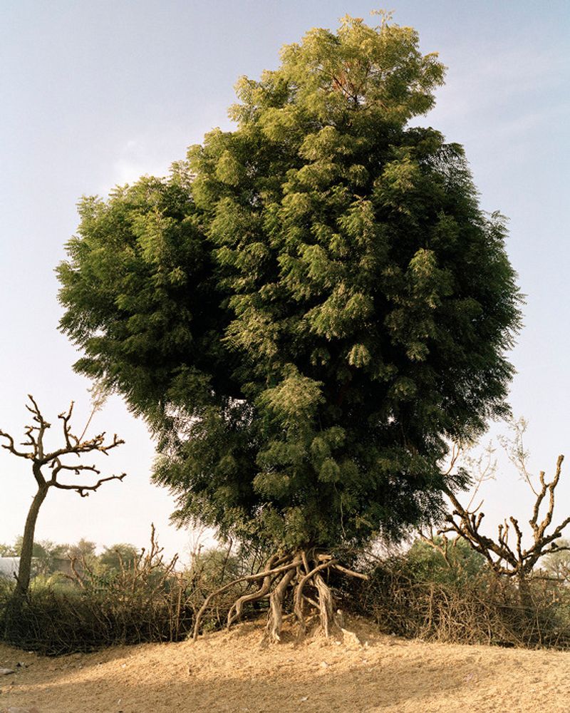 © Sebastian Forkarth - Image from the Not east, not west .. India is the best photography project