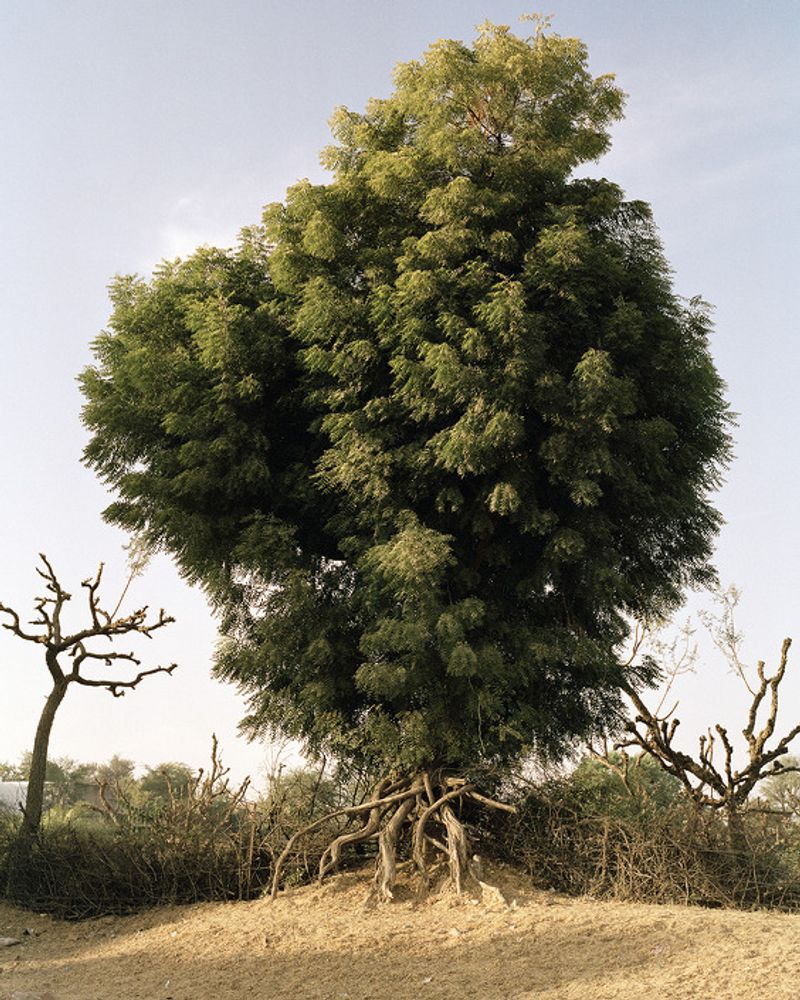 © Sebastian Forkarth - Image from the Not east, not west .. India is the best photography project