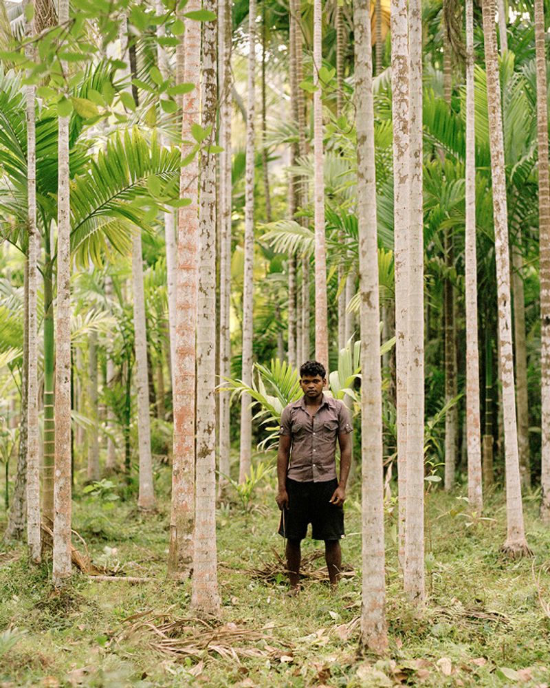 © Sebastian Forkarth - Image from the Not east, not west .. India is the best photography project