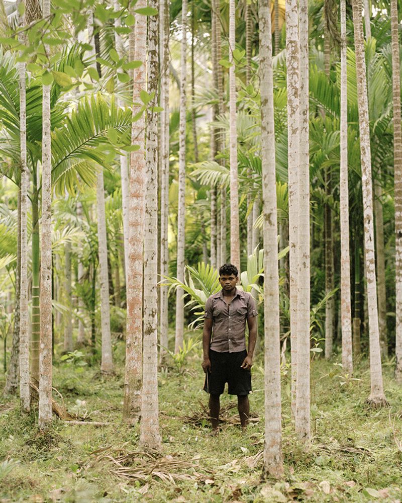 © Sebastian Forkarth - Image from the Not east, not west .. India is the best photography project