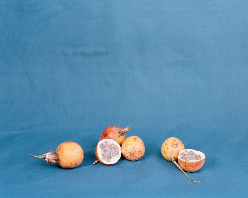 © Sebastian Forkarth - Image from the Not east, not west .. India is the best photography project