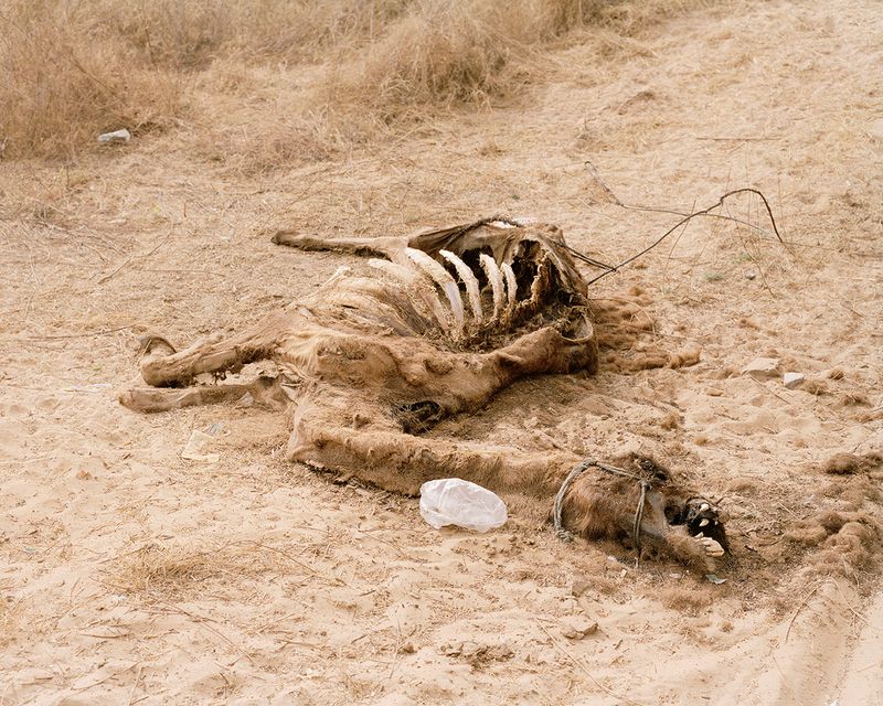 © Sebastian Forkarth - Image from the Not east, not west .. India is the best photography project