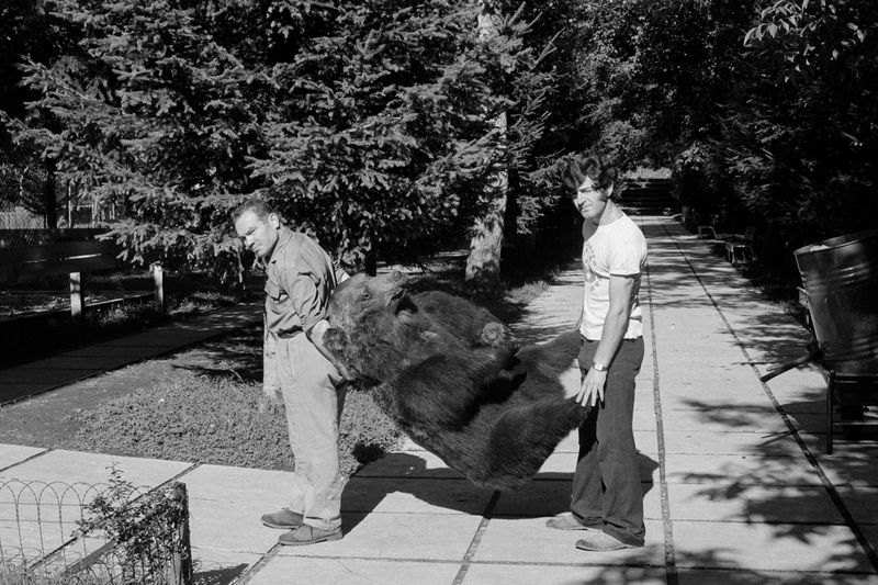 © Carlo Lombardi - Image from the La Carne Dell'Orso photography project