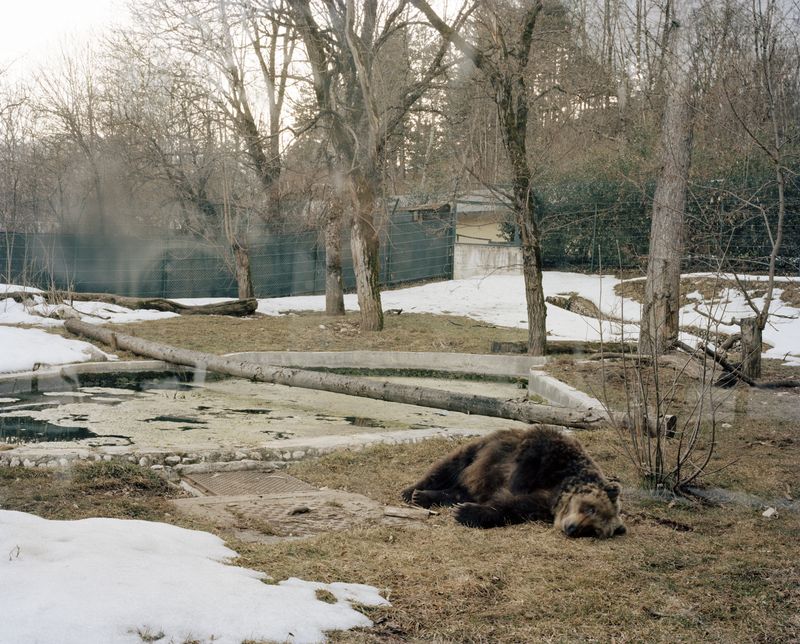 © Carlo Lombardi - Image from the La Carne Dell'Orso photography project