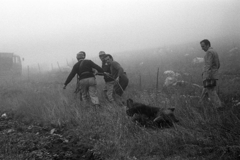 © Carlo Lombardi - Image from the La Carne Dell'Orso photography project