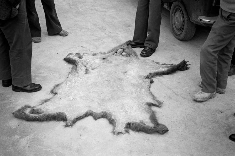 © Carlo Lombardi - Image from the La Carne Dell'Orso photography project