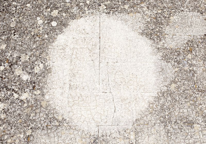 © Francesca Cugno - Image from the Corpora Vivi photography project