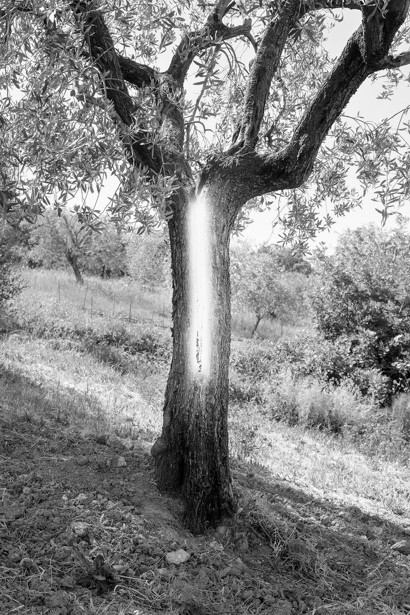 © Francesca Cugno - Image from the Corpora Vivi photography project