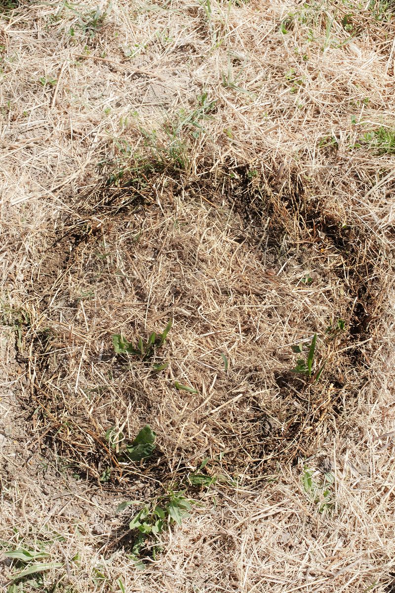 © Francesca Cugno - Image from the Corpora Vivi photography project