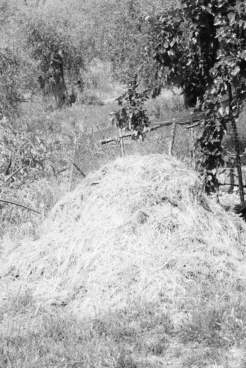 © Francesca Cugno - Image from the Corpora Vivi photography project