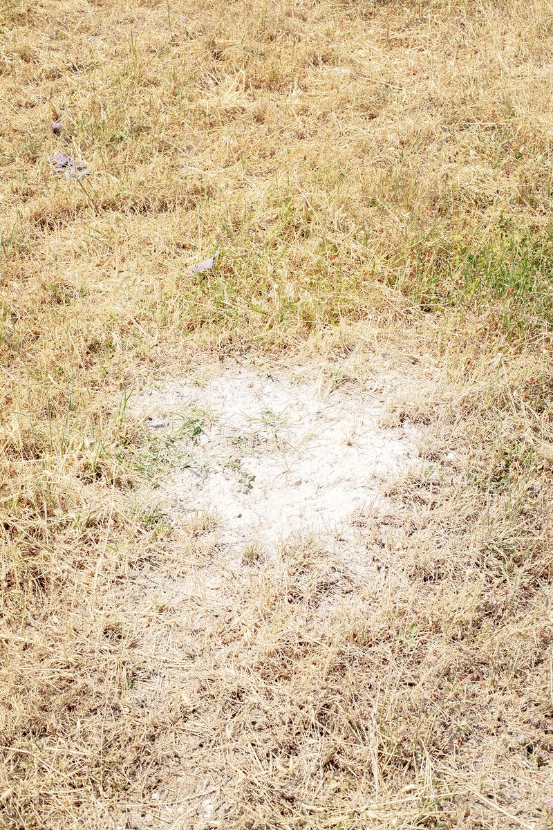 © Francesca Cugno - Image from the Corpora Vivi photography project