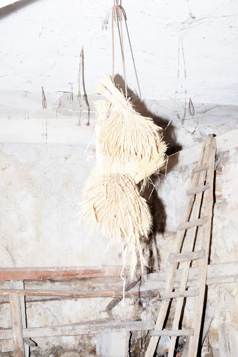 © Francesca Cugno - Image from the Corpora Vivi photography project