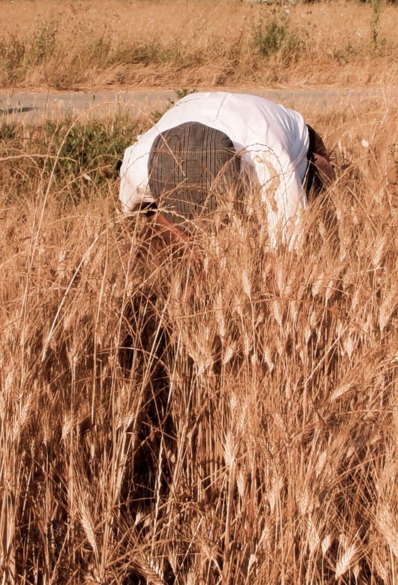 © Francesca Cugno - Image from the Corpora Vivi photography project