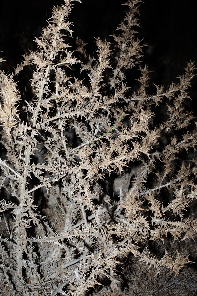 © Francesca Cugno - Image from the Baptized Island photography project