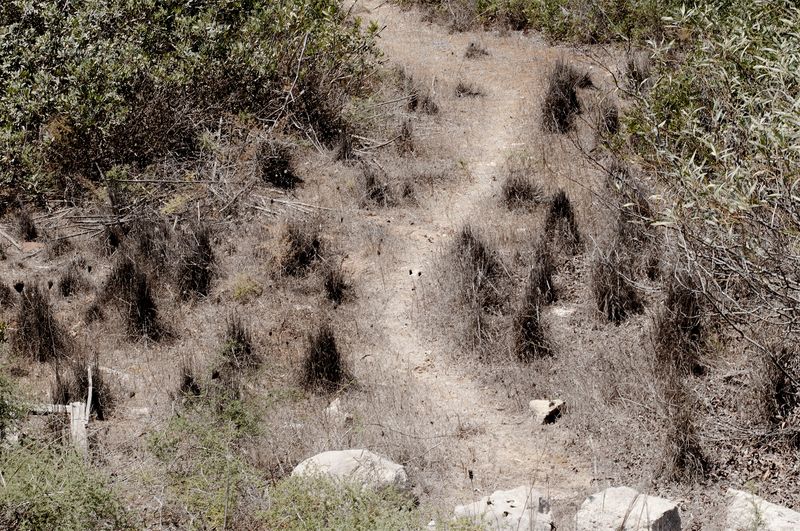 © Francesca Cugno - Image from the Baptized Island photography project