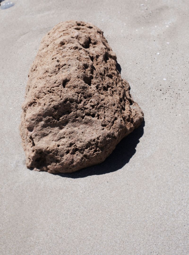 © Francesca Cugno - Image from the Anemone photography project