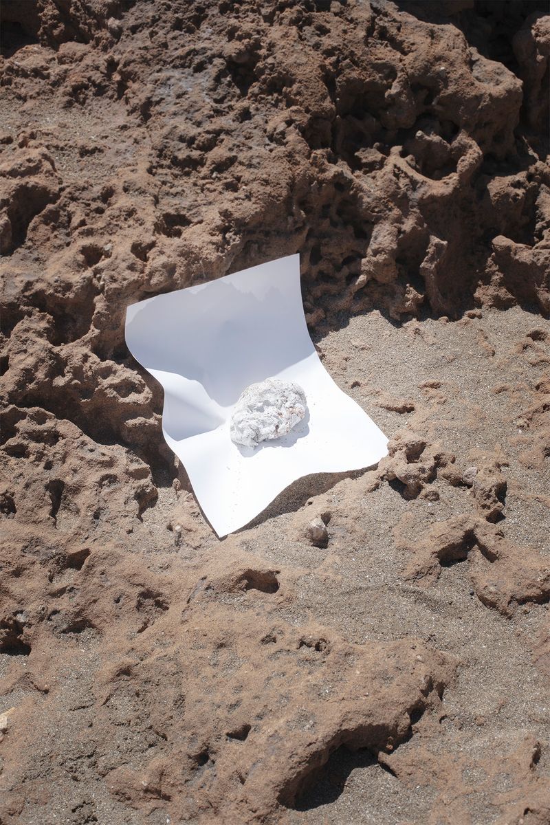 © Francesca Cugno - Image from the Anemone photography project