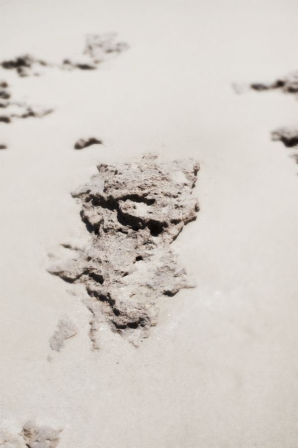 © Francesca Cugno - Image from the Anemone photography project
