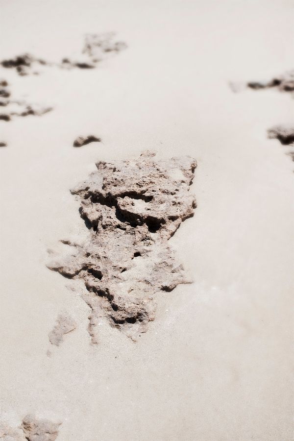 © Francesca Cugno - Image from the Anemone photography project