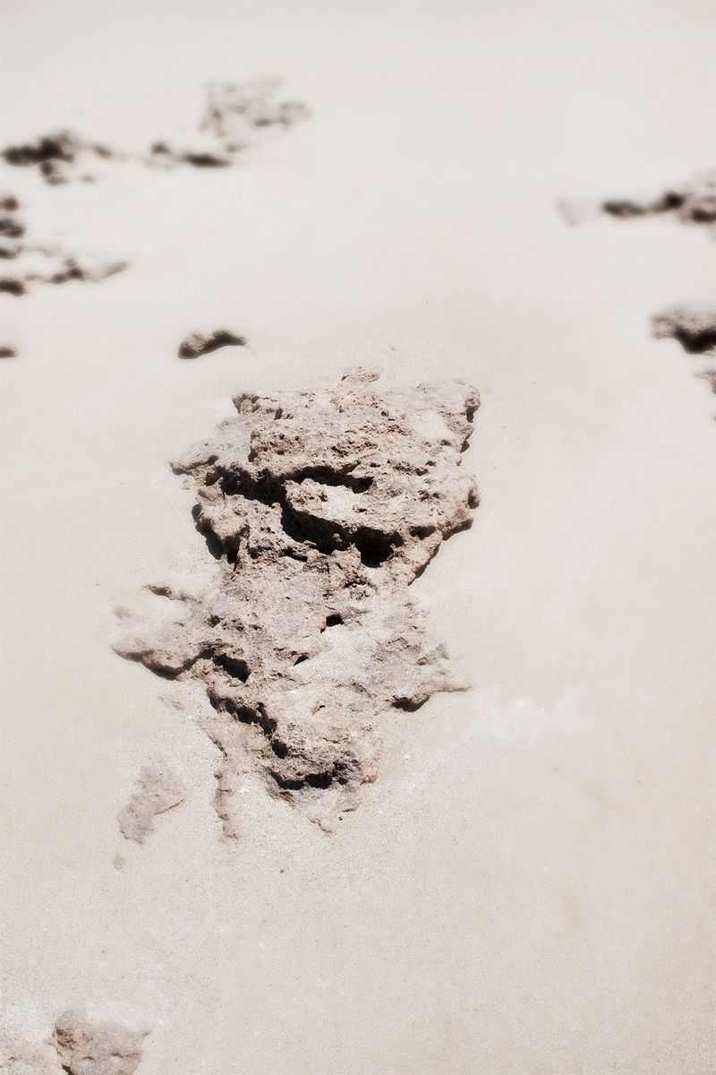 © Francesca Cugno - Image from the Anemone photography project