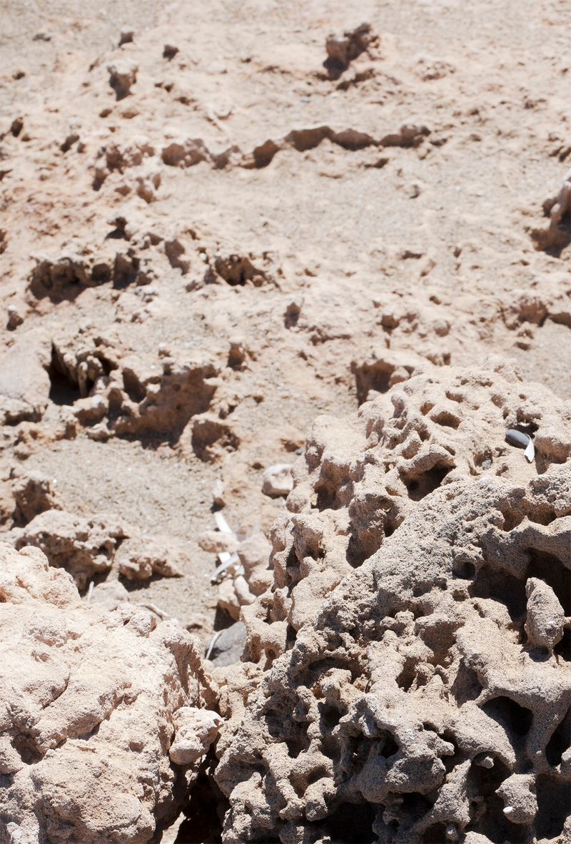 © Francesca Cugno - Image from the Anemone photography project