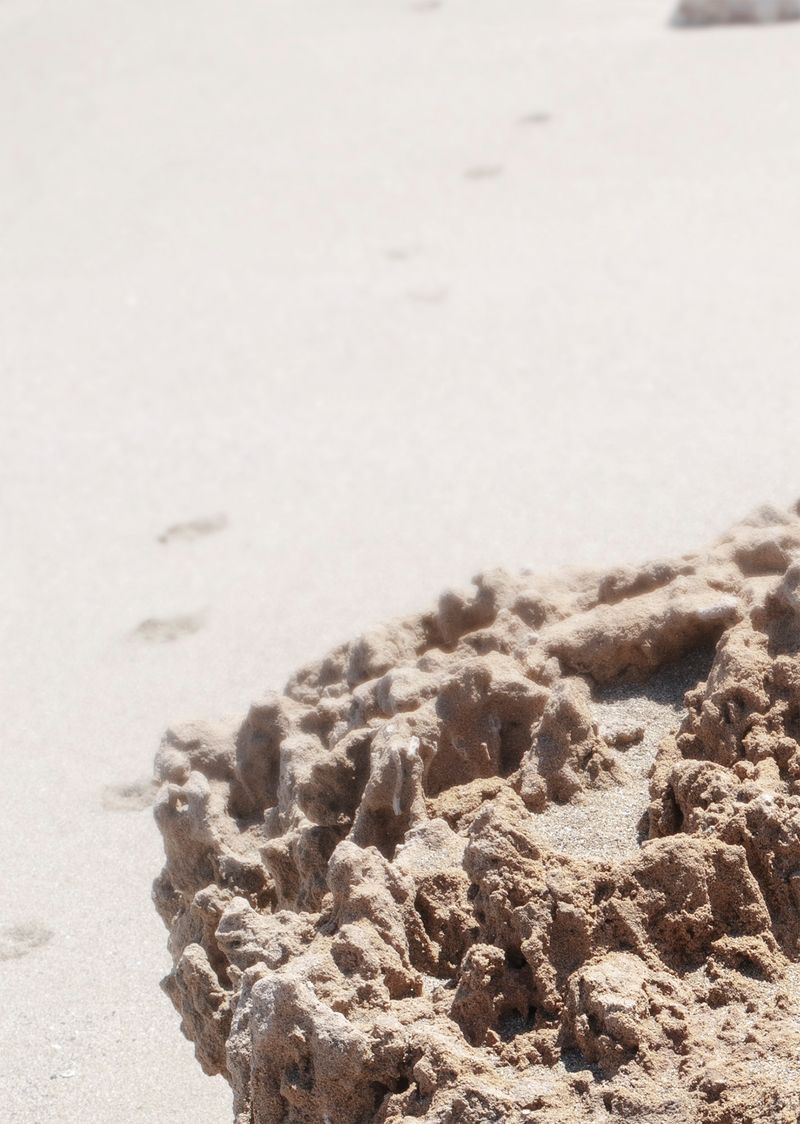 © Francesca Cugno - Image from the Anemone photography project