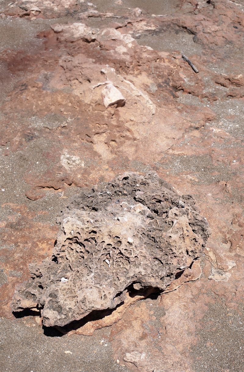 © Francesca Cugno - Image from the Anemone photography project