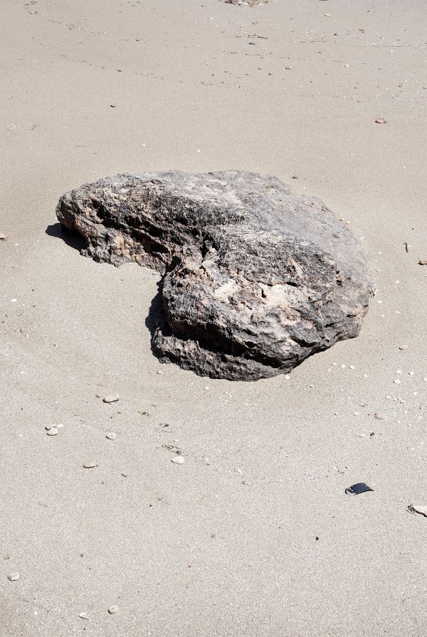 © Francesca Cugno - Image from the Anemone photography project