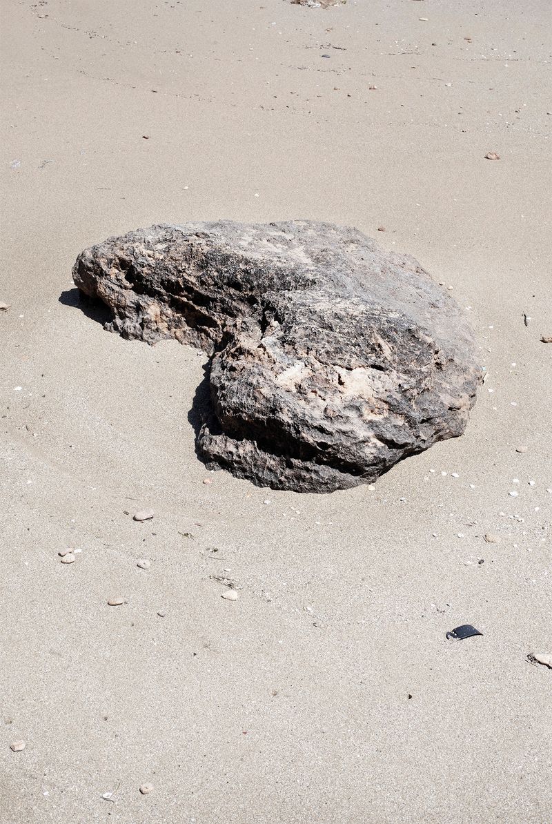 © Francesca Cugno - Image from the Anemone photography project