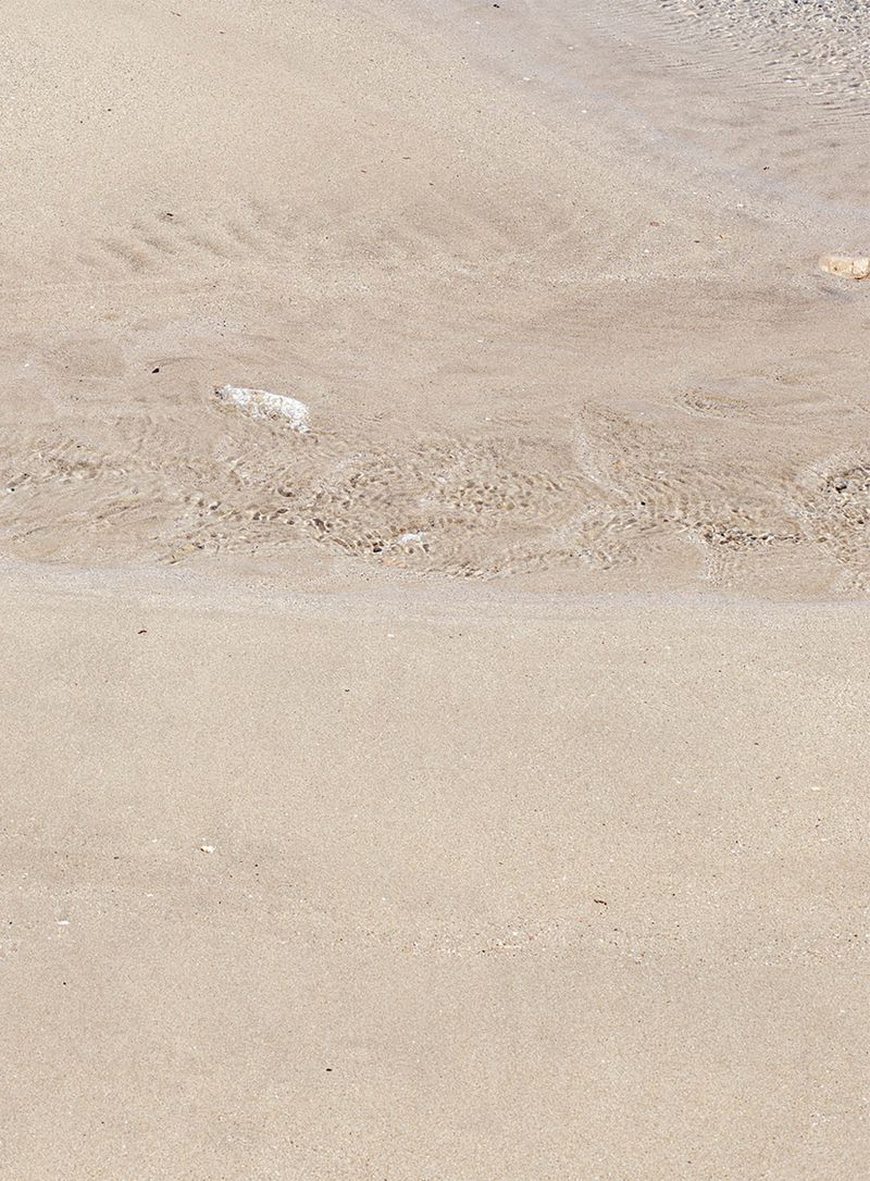 © Francesca Cugno - Image from the Anemone photography project