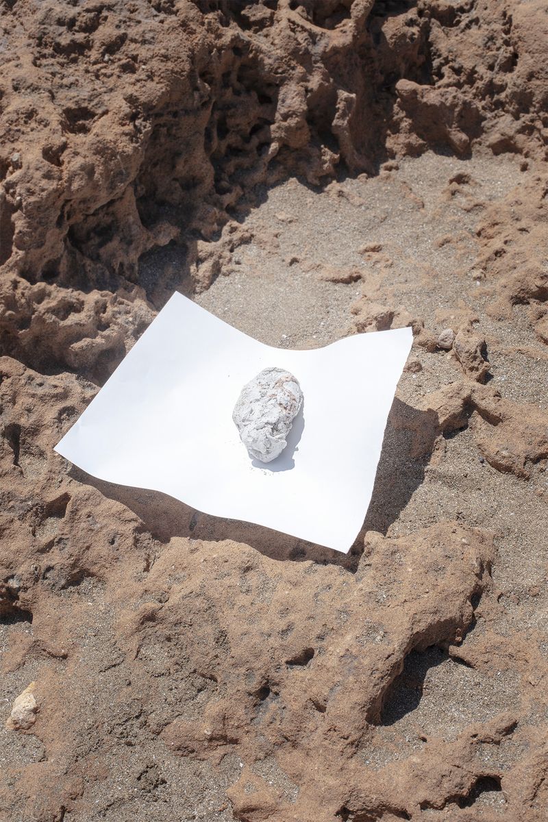 © Francesca Cugno - Image from the Anemone photography project