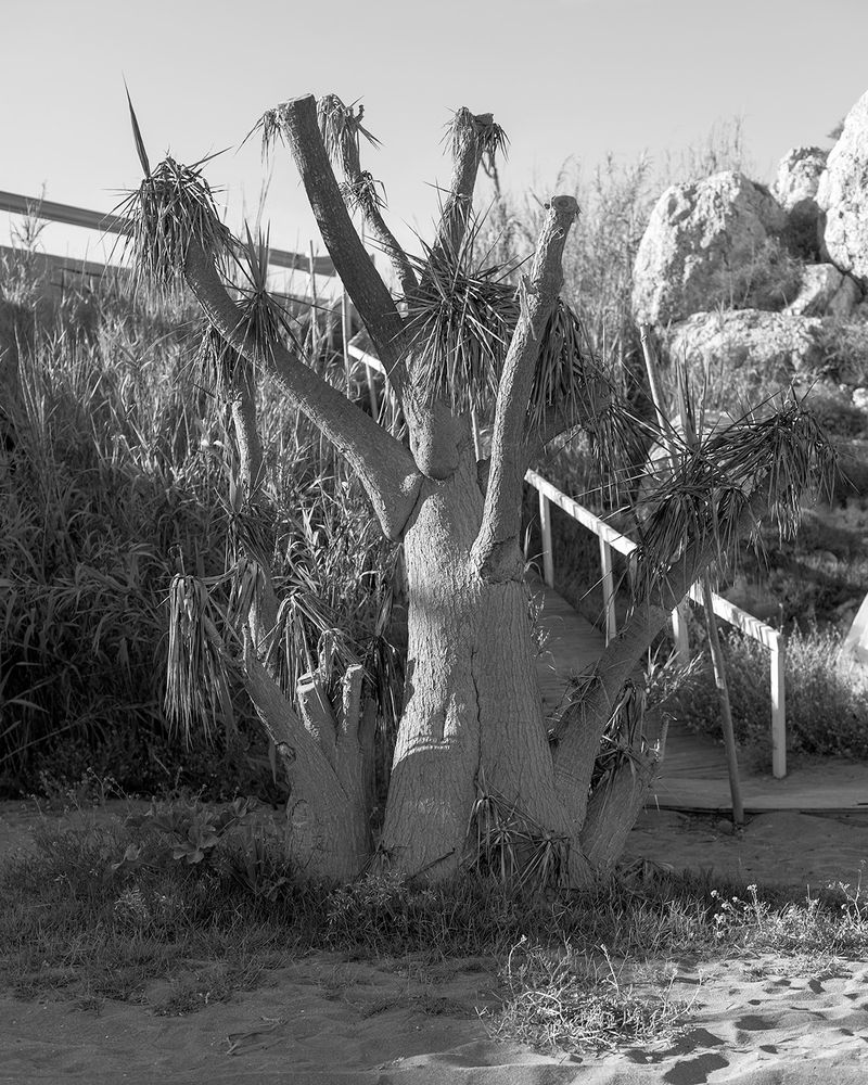 © Francesca Cugno - Image from the Cartografie Percettive photography project