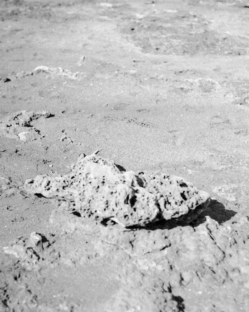 © Francesca Cugno - Image from the To the End, to the Other photography project