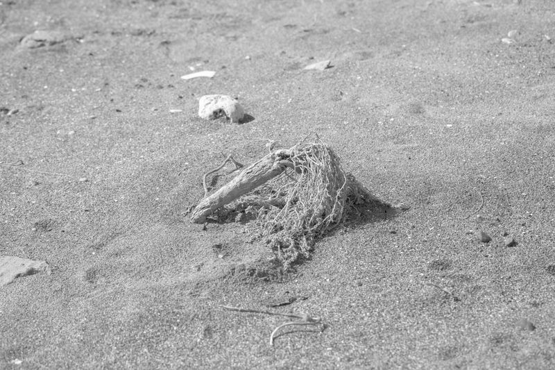 © Francesca Cugno - Image from the To the End, to the Other photography project
