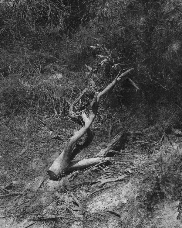 © Francesca Cugno - Image from the To the End, to the Other photography project